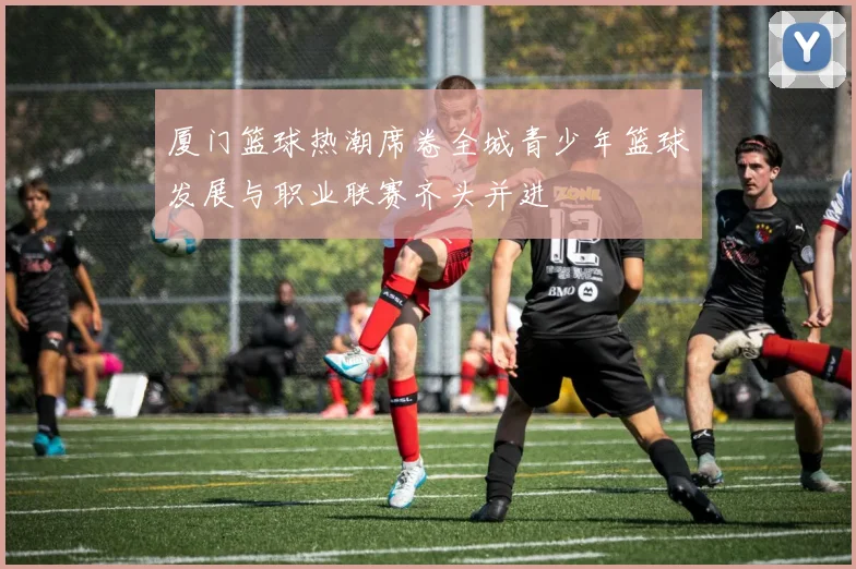 厦门篮球热潮席卷全城青少年篮球发展与职业联赛齐头并进