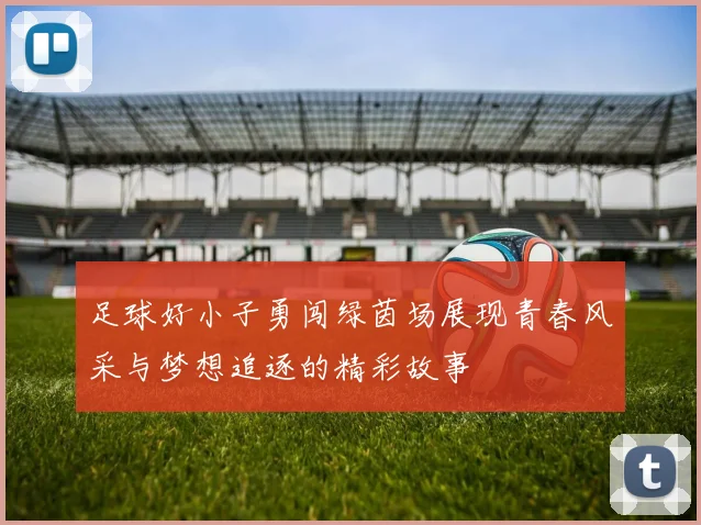 足球好小子勇闯绿茵场展现青春风采与梦想追逐的精彩故事