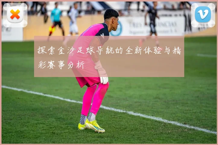 探索金沙足球导航的全新体验与精彩赛事分析